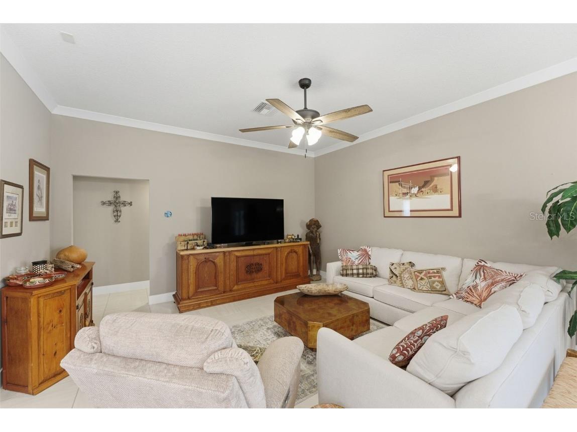 2737 Ava Street The Villages FL 32163 C7518762 image11