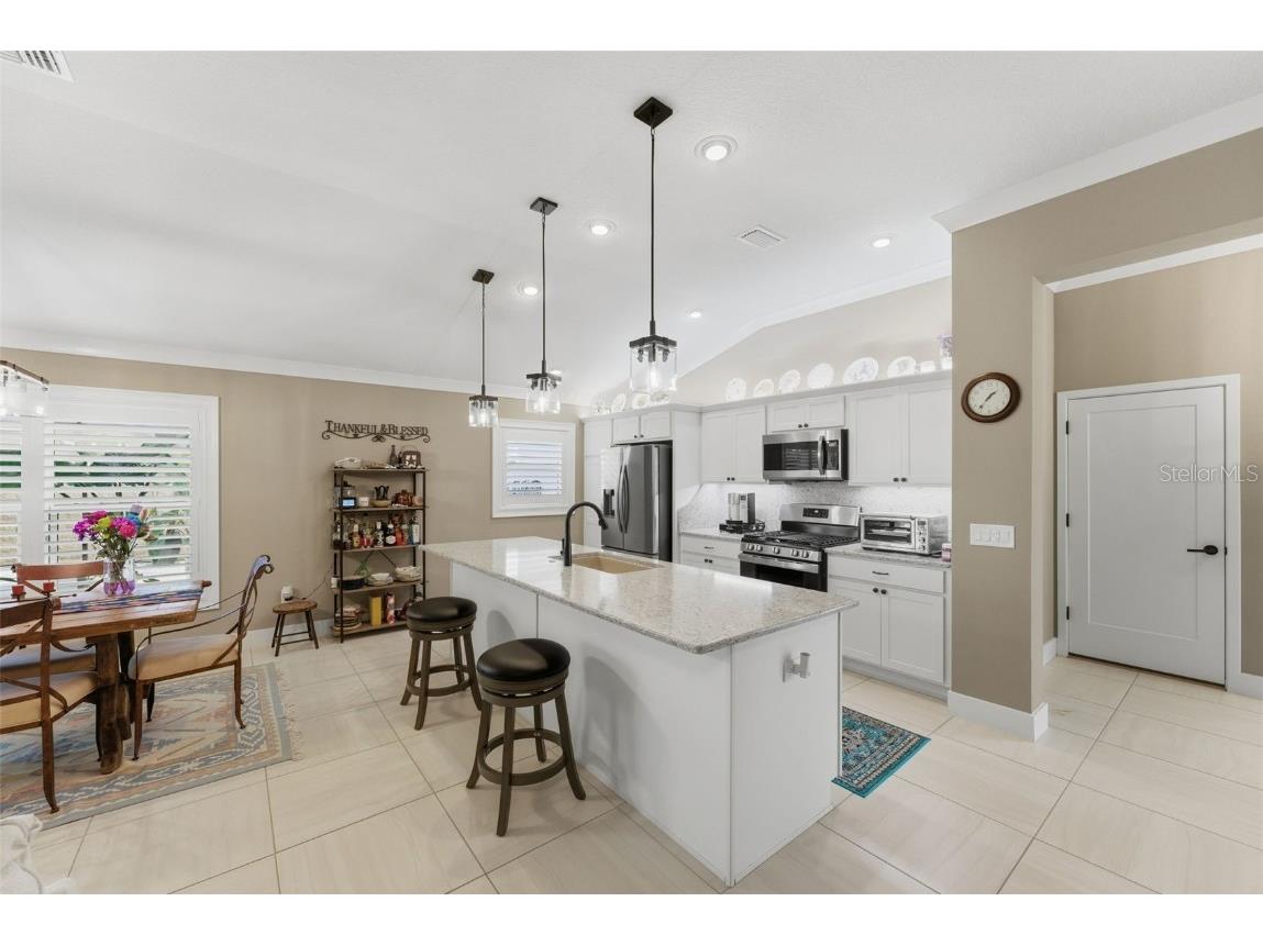 2737 Ava Street The Villages FL 32163 C7518762 image12