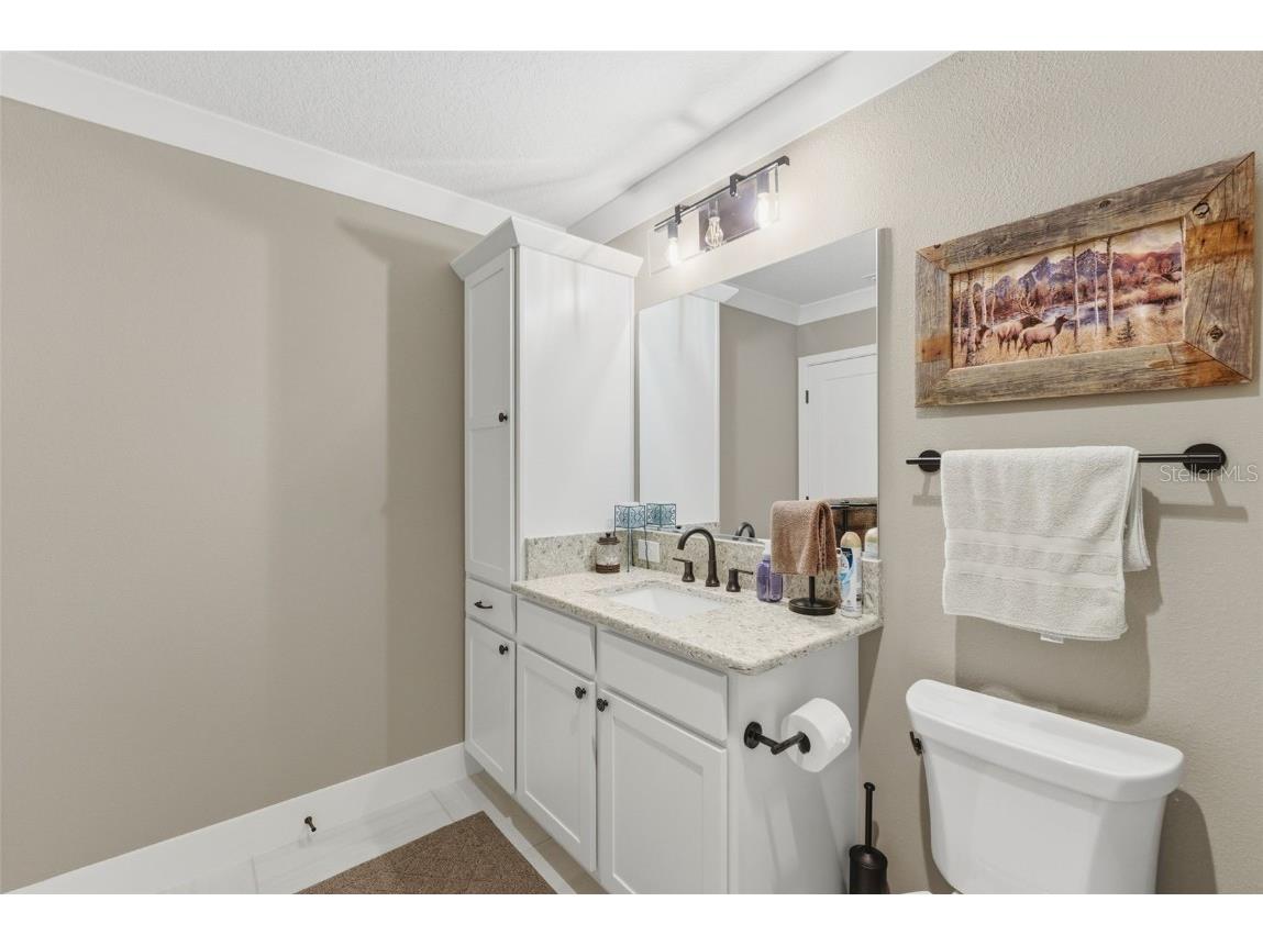 2737 Ava Street The Villages FL 32163 C7518762 image15