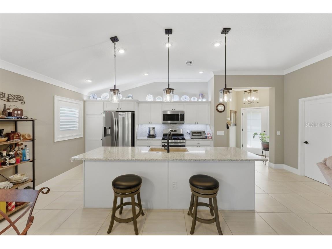 2737 Ava Street The Villages FL 32163 C7518762 image3