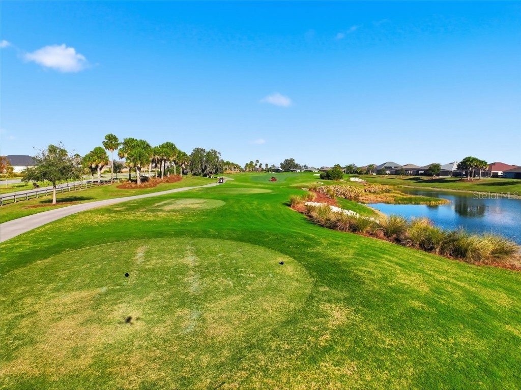 2737 Ava Street The Villages FL 32163 C7518762 image37