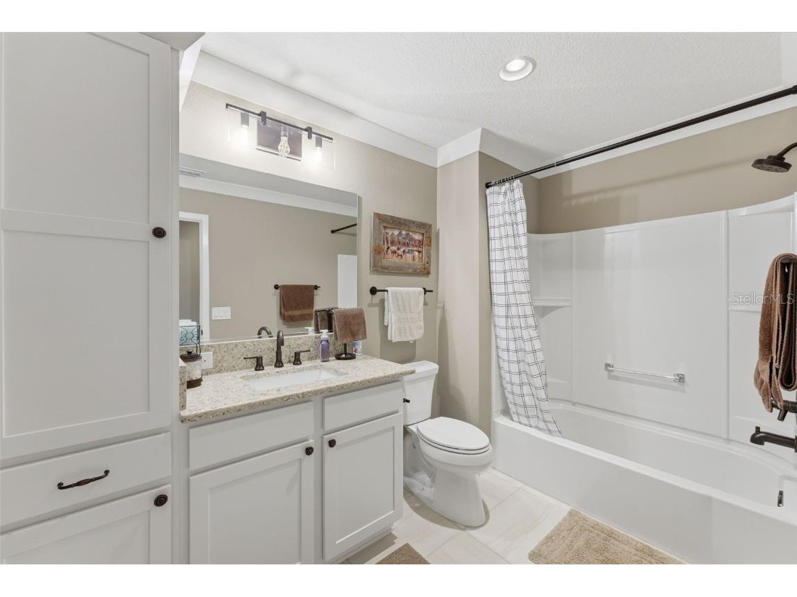 2737 Ava Street The Villages FL 32163 C7518762 image46