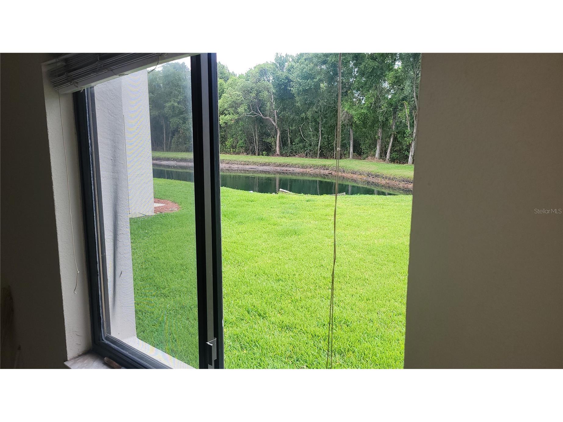 2737 E Enterprise Road #151 Clearwater FL 33759 TB8516209 image1