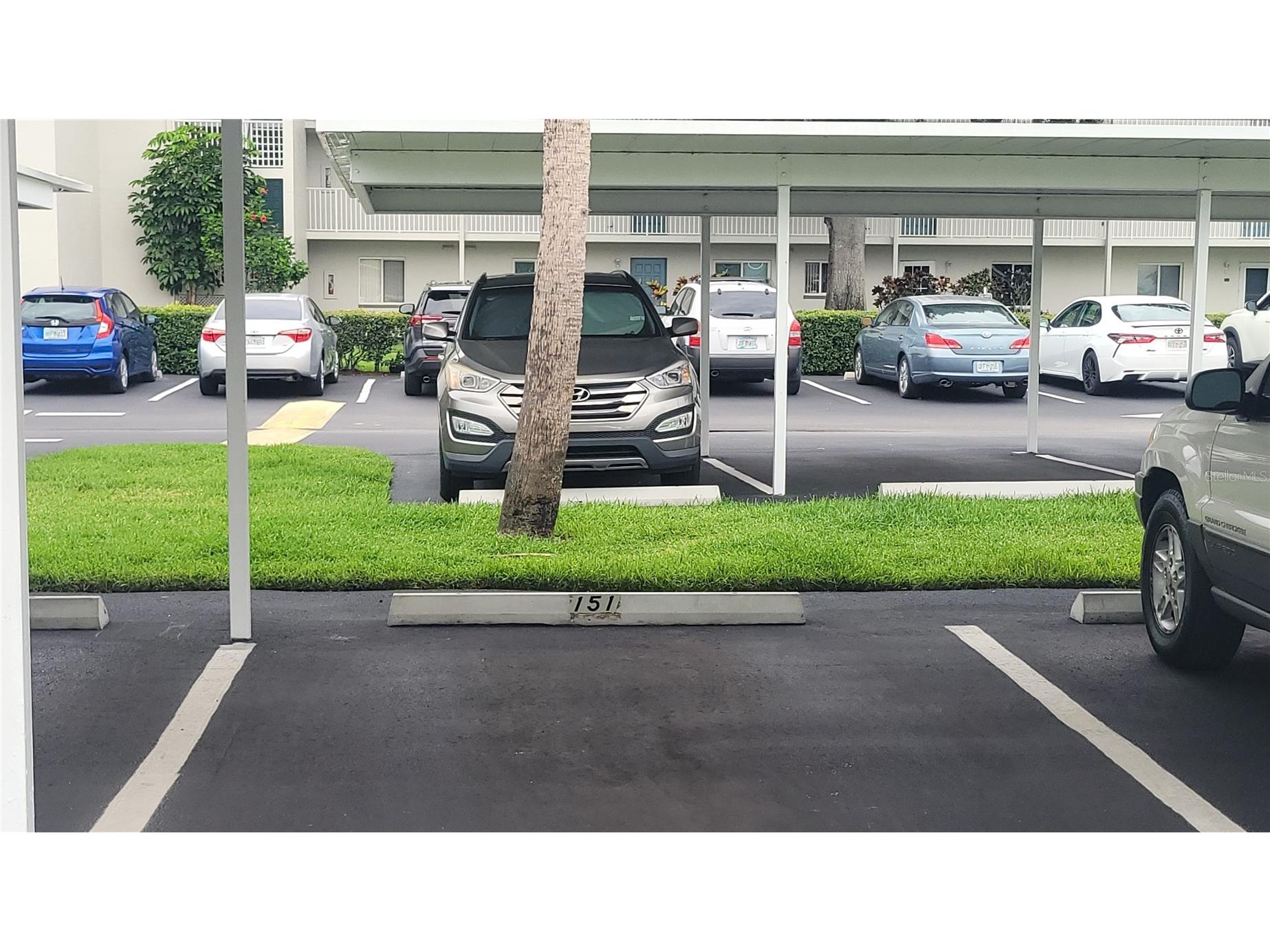 2737 E Enterprise Road #151 Clearwater FL 33759 TB8516209 image26
