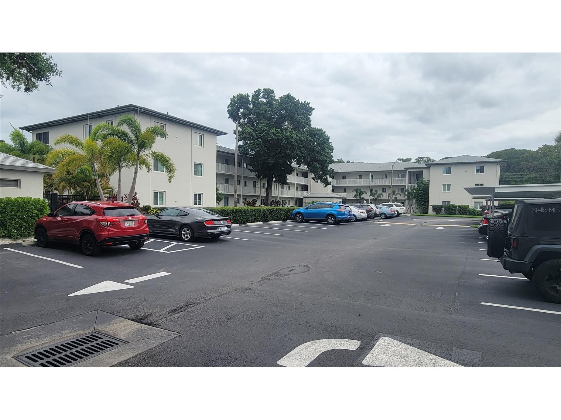 2737 E Enterprise Road #151 Clearwater FL 33759 TB8516209 image29