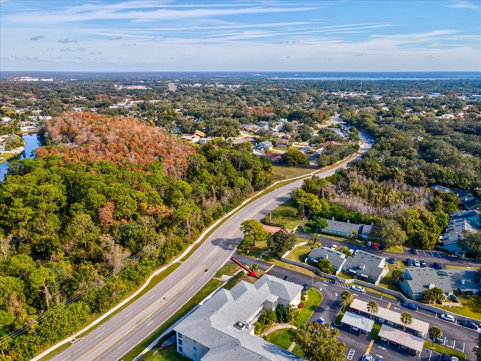 2737 Enterprise Road E #111 Clearwater FL 33759 TB8460543 image26