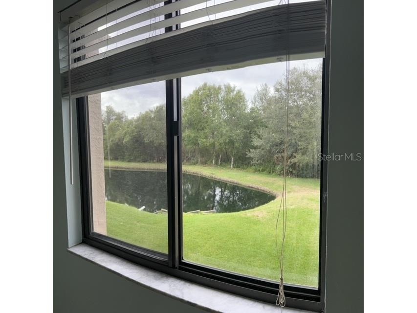 2737 Enterprise Road E #152 Clearwater FL 33759 TB8438664 image11