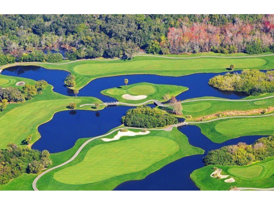 2737 Enterprise Road E #152 Clearwater FL 33759 U8182260 image42