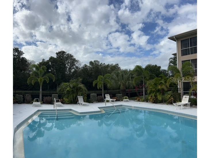 2737 Enterprise Road E #152 Clearwater FL 33761 TB8438664 image29