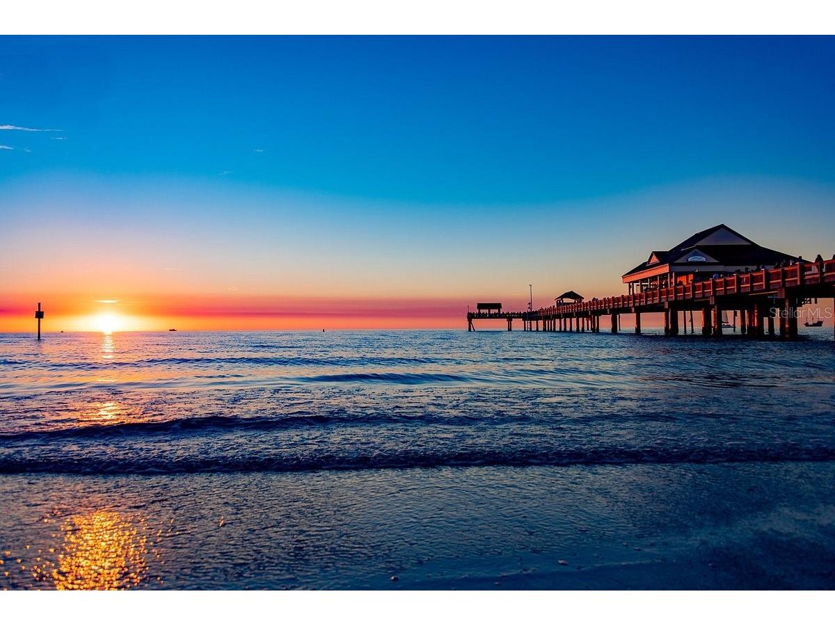 2737 Enterprise Road E #152 Clearwater FL 33761 TB8438664 image36
