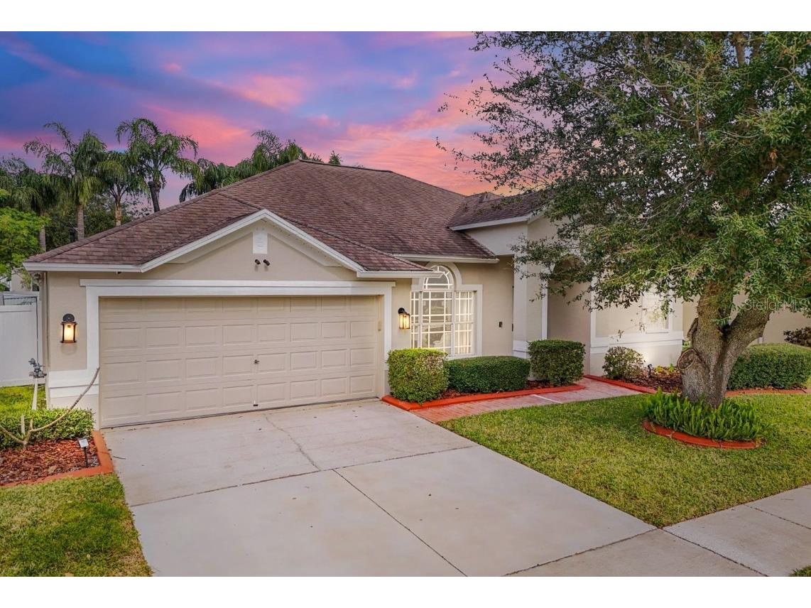 2737 Valencia Grove Drive Valrico FL 33596 TB8337038 image1
