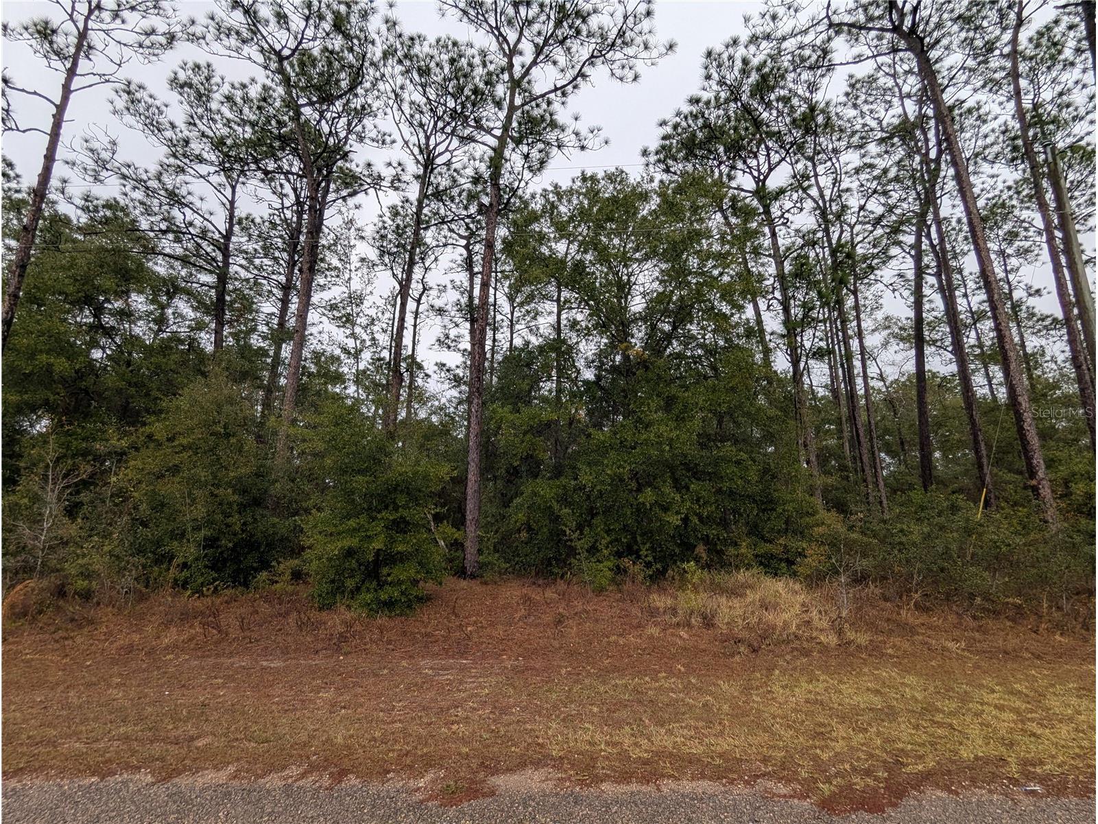 2737 W Blink Drive Citrus Springs FL 34434 OM717054 image2