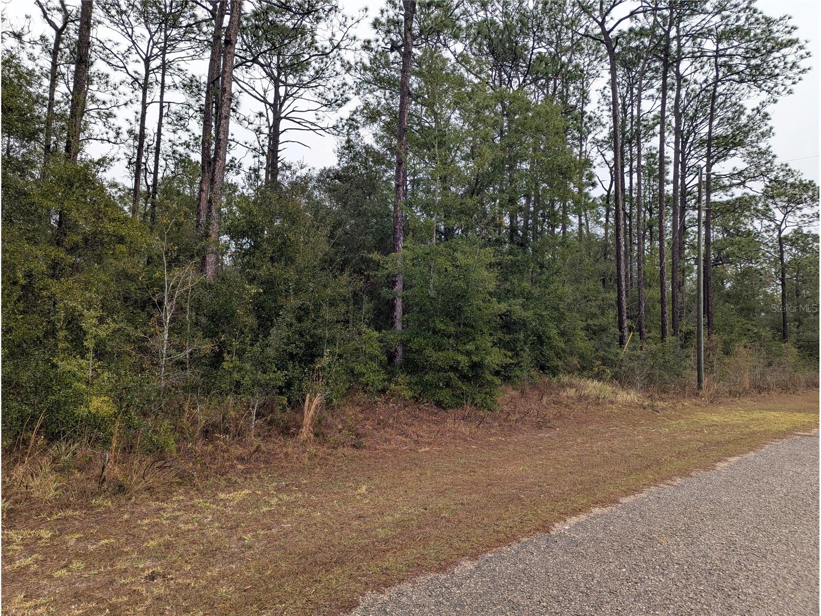 2737 W Blink Drive Citrus Springs FL 34434 OM717054 image3