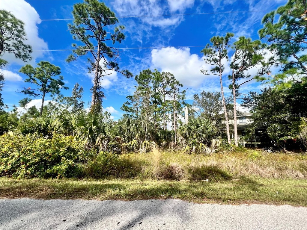 27372 Las Lomas Drive Punta Gorda FL 33955 C7511623 image1