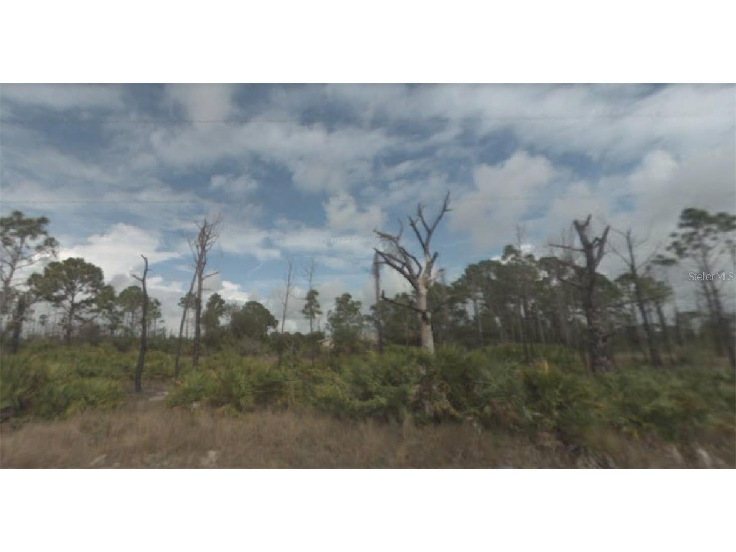 27374 Sandrala Drive Punta Gorda FL 33955 O6104289 image1