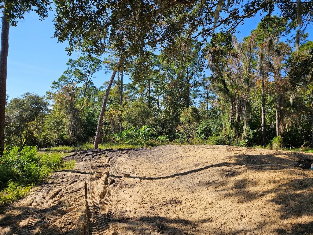 2738 10th Street Orlando FL 32820 O6335617 image33