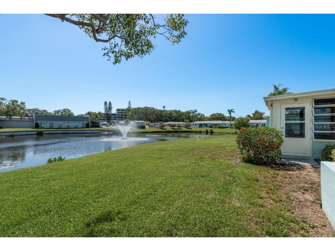 2738 Sherbrooke Lane #C Palm Harbor FL 34684 TB8410324 image2