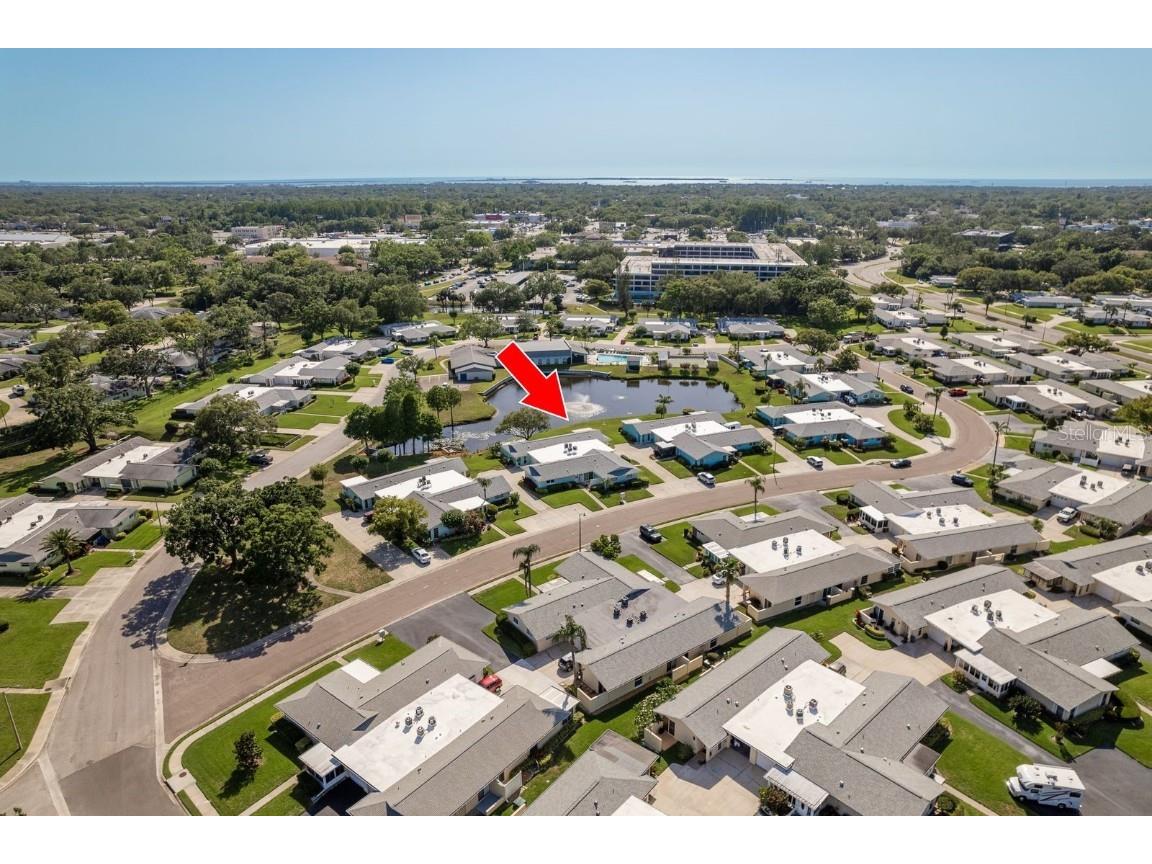 2738 Sherbrooke Lane #C Palm Harbor FL 34684 TB8410324 image28