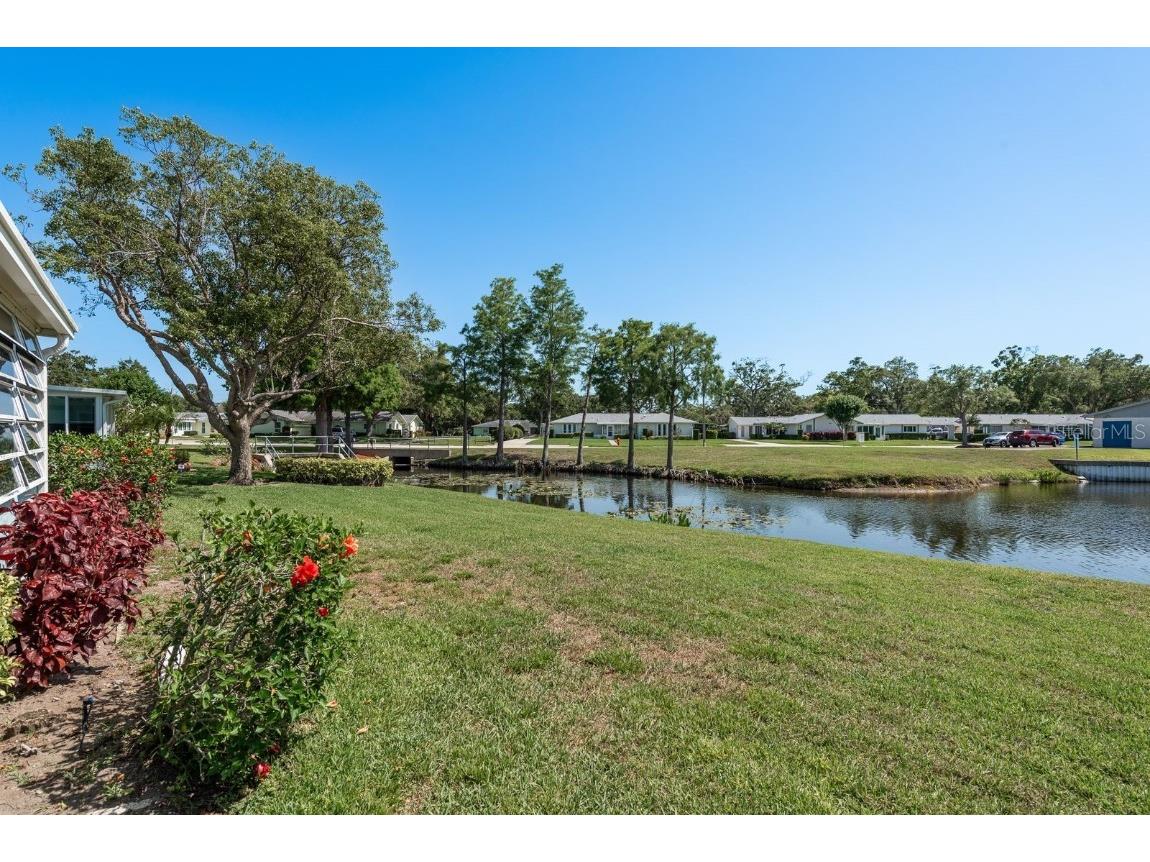 2738 Sherbrooke Lane #C Palm Harbor FL 34684 TB8410324 image29