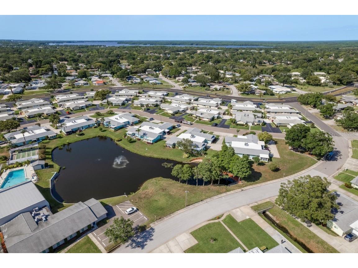 2738 Sherbrooke Lane #C Palm Harbor FL 34684 TB8410324 image35
