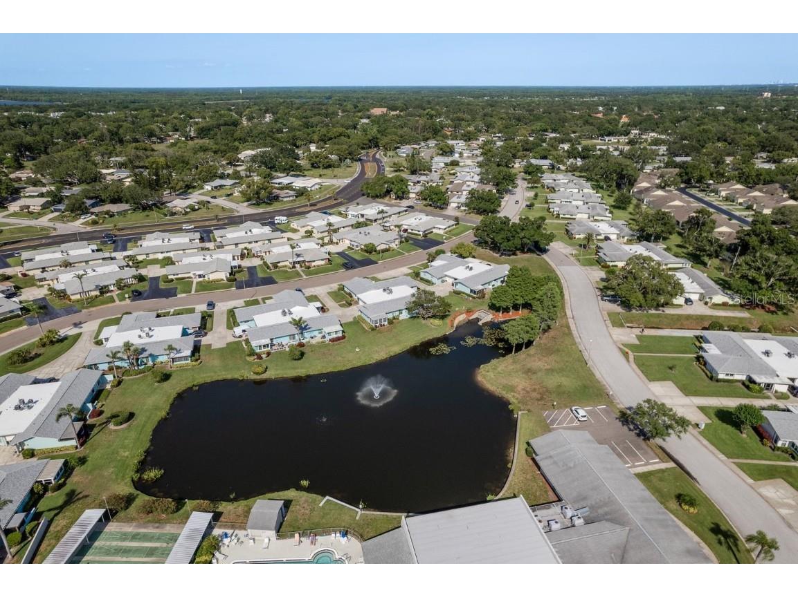 2738 Sherbrooke Lane #C Palm Harbor FL 34684 TB8410324 image36