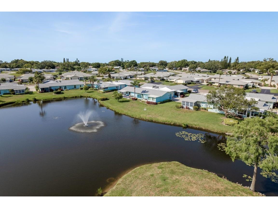 2738 Sherbrooke Lane #C Palm Harbor FL 34684 TB8410324 image38