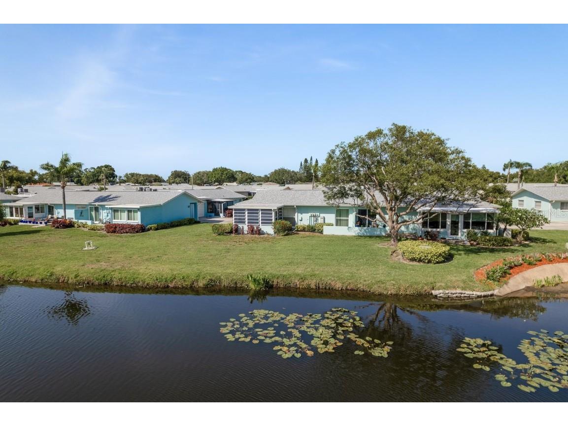 2738 Sherbrooke Lane #C Palm Harbor FL 34684 TB8410324 image39