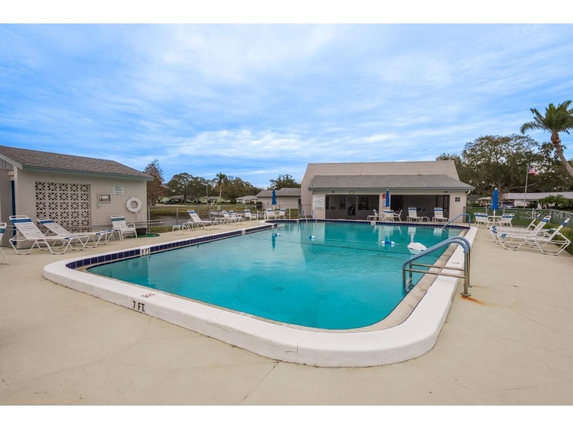 2738 Sherbrooke Lane #C Palm Harbor FL 34684 TB8410324 image43