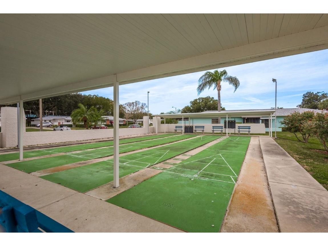 2738 Sherbrooke Lane #C Palm Harbor FL 34684 TB8410324 image44