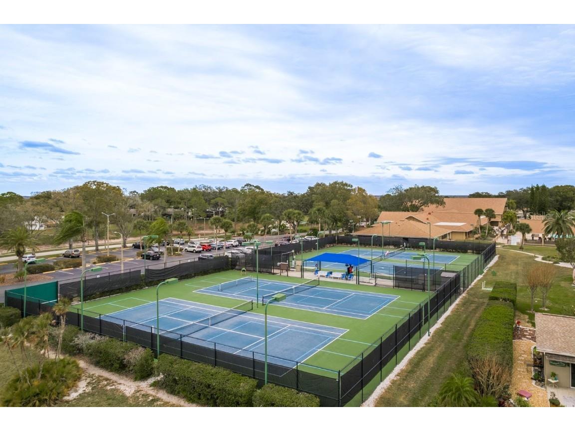 2738 Sherbrooke Lane #C Palm Harbor FL 34684 TB8410324 image45