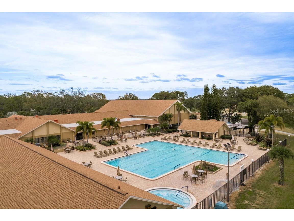 2738 Sherbrooke Lane #C Palm Harbor FL 34684 TB8410324 image46