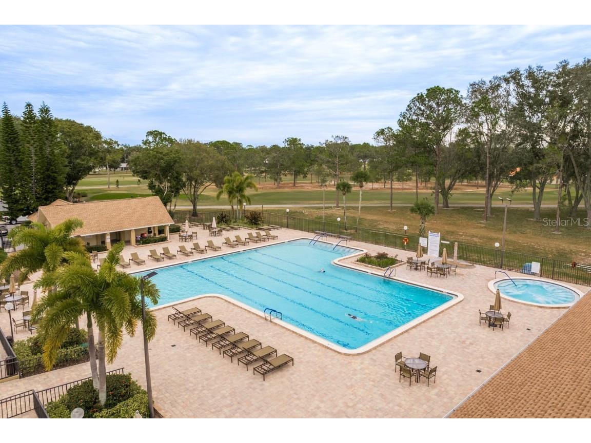 2738 Sherbrooke Lane #C Palm Harbor FL 34684 TB8410324 image48