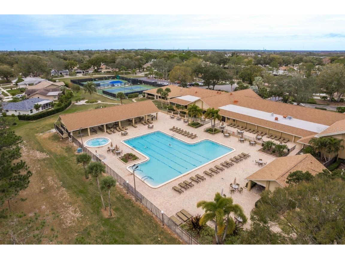 2738 Sherbrooke Lane #C Palm Harbor FL 34684 TB8410324 image49