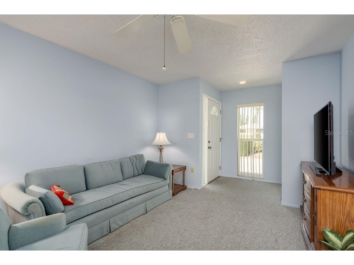 2738 Sherbrooke Lane #C Palm Harbor FL 34684 TB8410324 image5