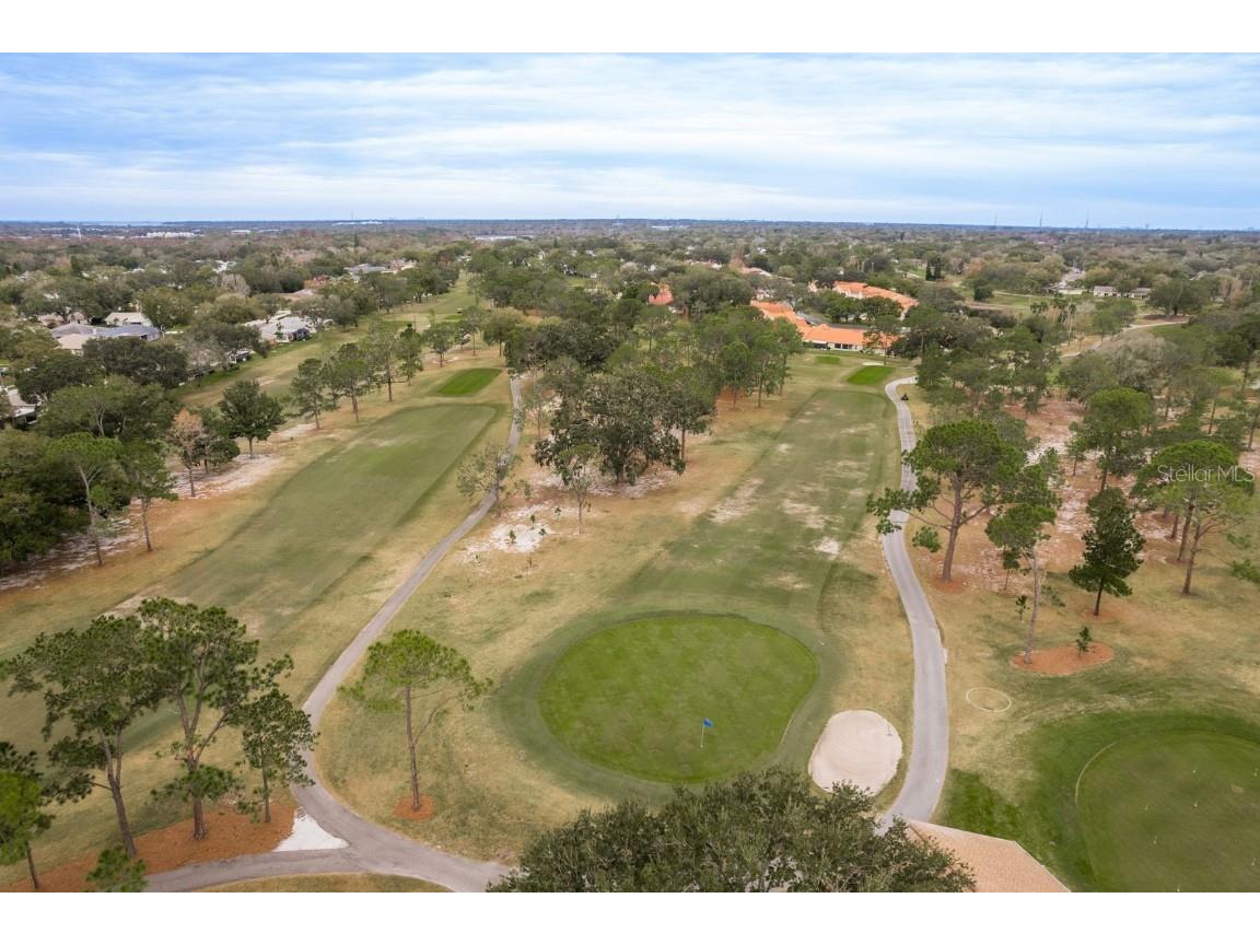 2738 Sherbrooke Lane #C Palm Harbor FL 34684 TB8410324 image55