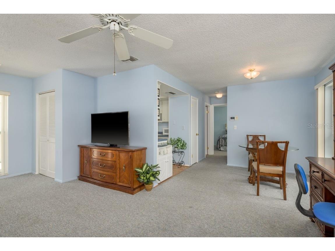 2738 Sherbrooke Lane #C Palm Harbor FL 34684 TB8410324 image7