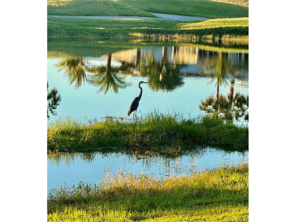 2738 St George Drive Davenport FL 33837 O6357393 image35