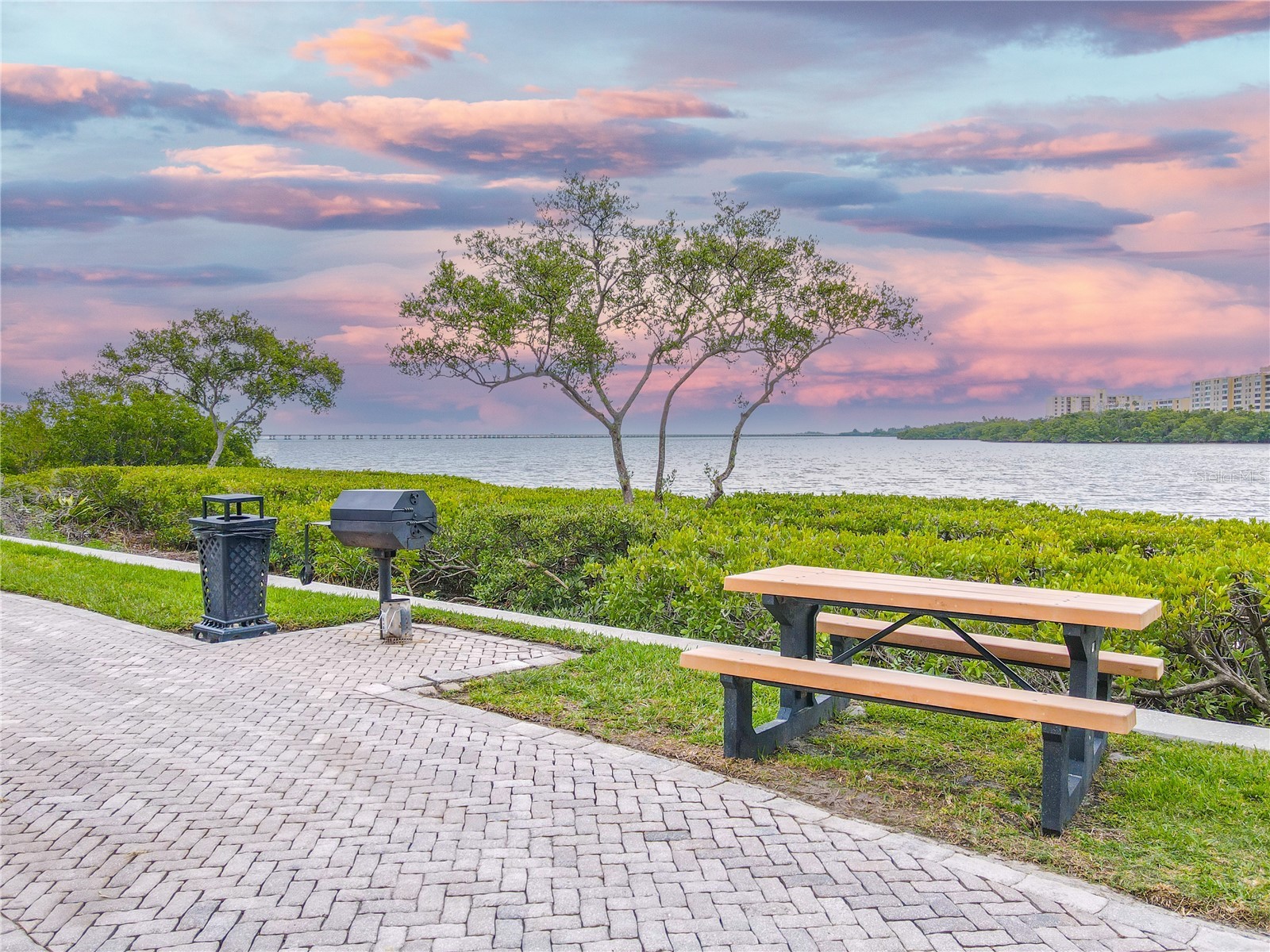 2738 Via Tivoli #220B Clearwater FL 33764 TB8457013 image77