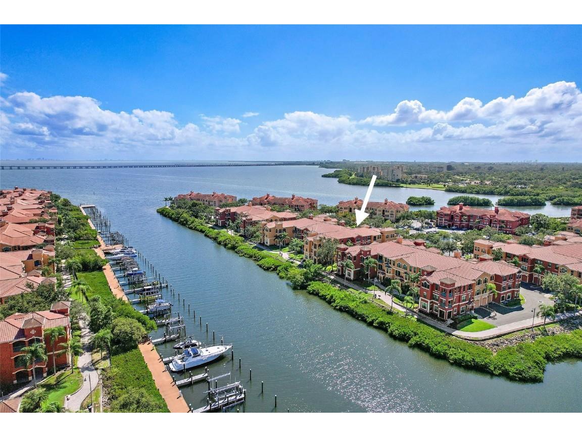 2738 Via Tivoli #223A Clearwater FL 33764 - TAMPA BAY TB8435374 image5