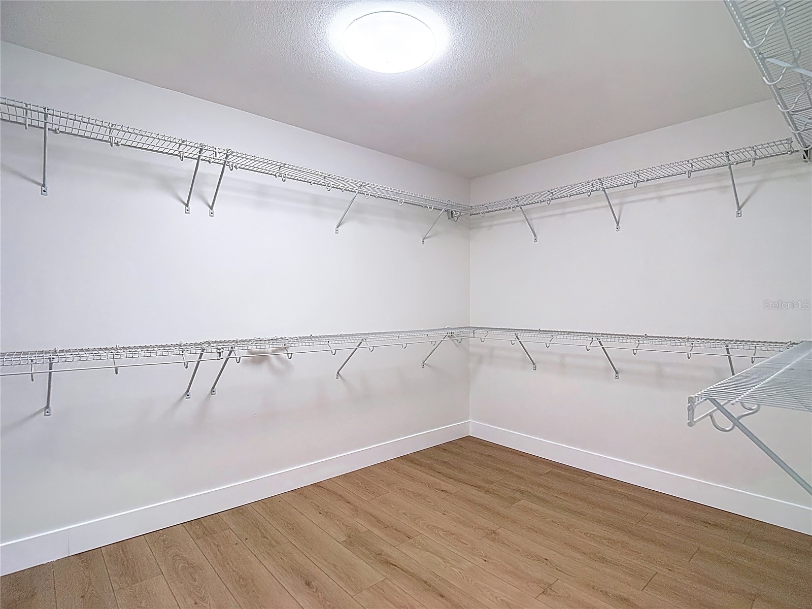 27387 Cayenne Lane Wesley Chapel FL 33544 TB8482304 image46