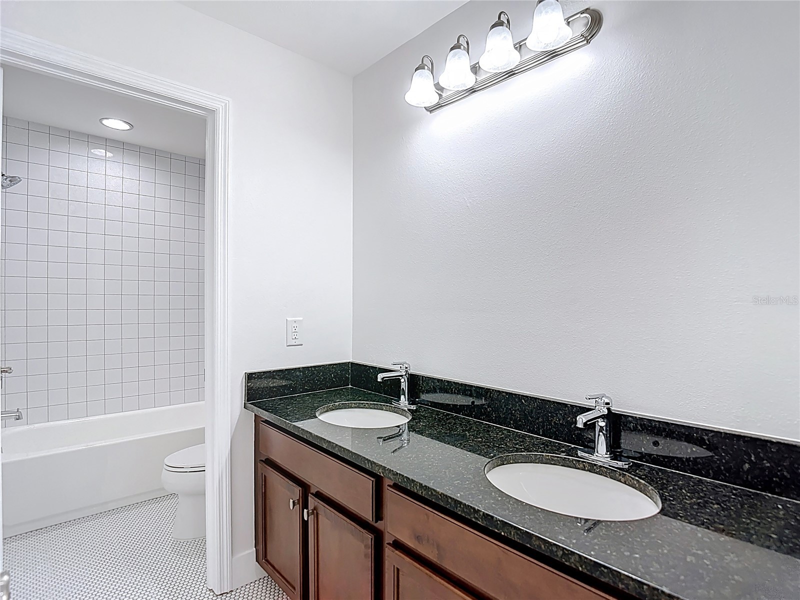 27387 Cayenne Lane Wesley Chapel FL 33544 TB8482304 image51