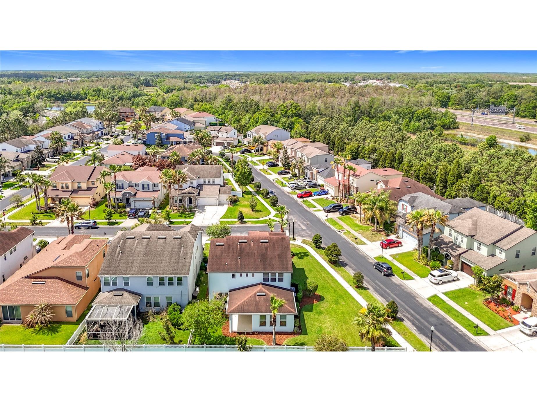 27387 Cayenne Lane Wesley Chapel FL 33544 TB8482304 image74