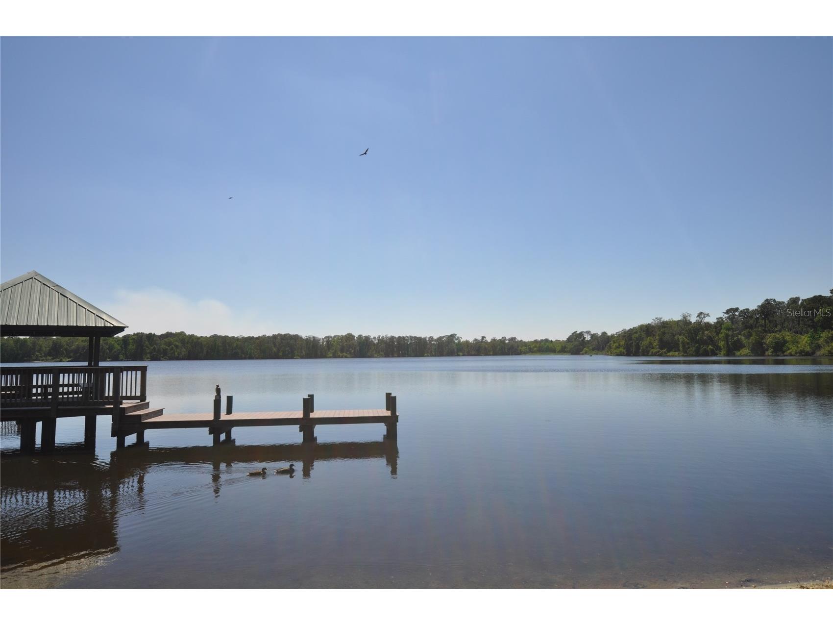 2739 Horseshoe Drive Plant City FL 33566 TB8507746 image33