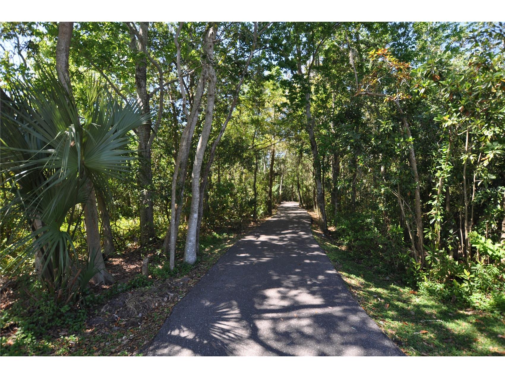 2739 Horseshoe Drive Plant City FL 33566 TB8507746 image37