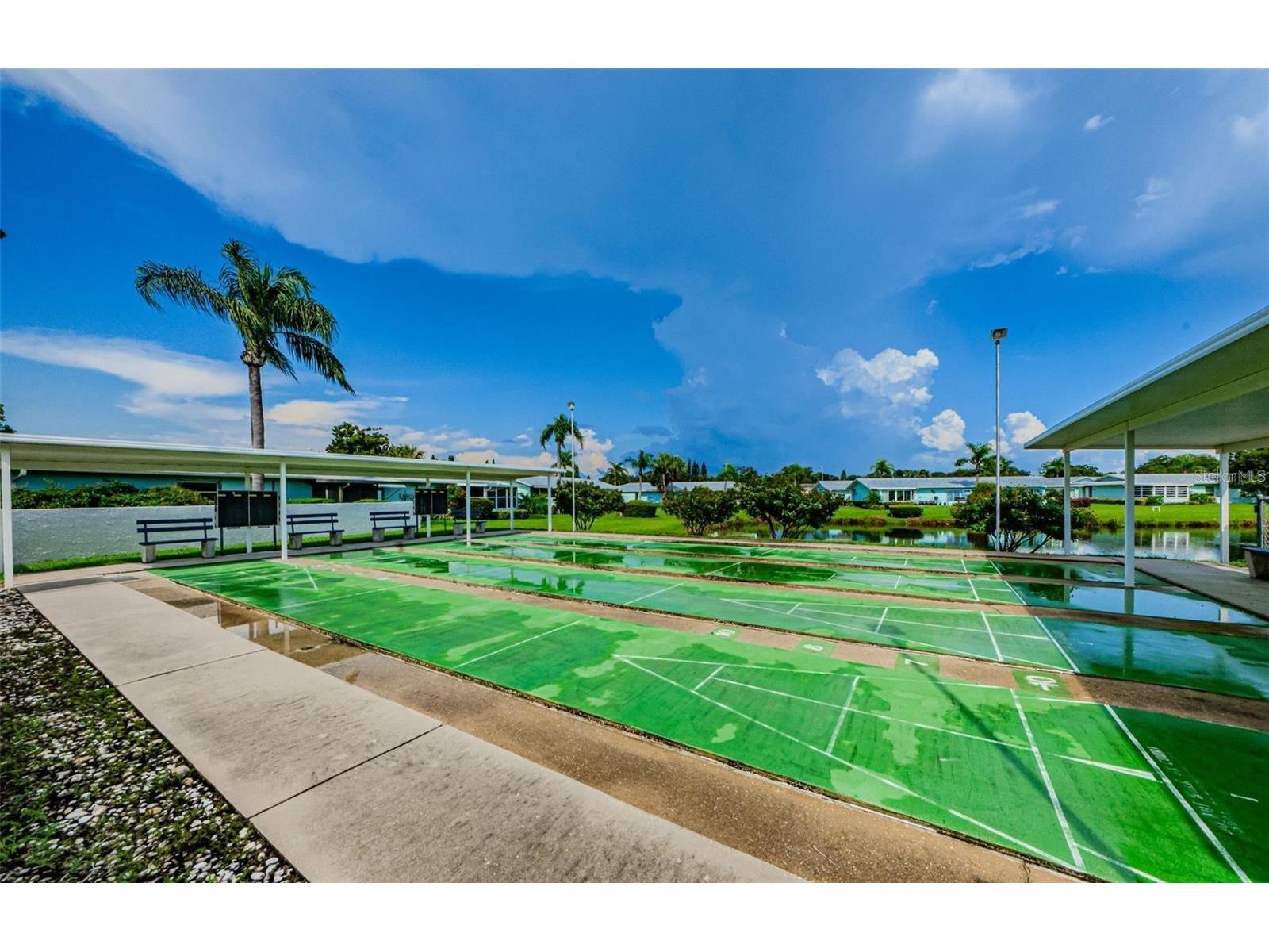 2739 Sherbrooke Lane #B Palm Harbor FL 34684 TB8462674 image38