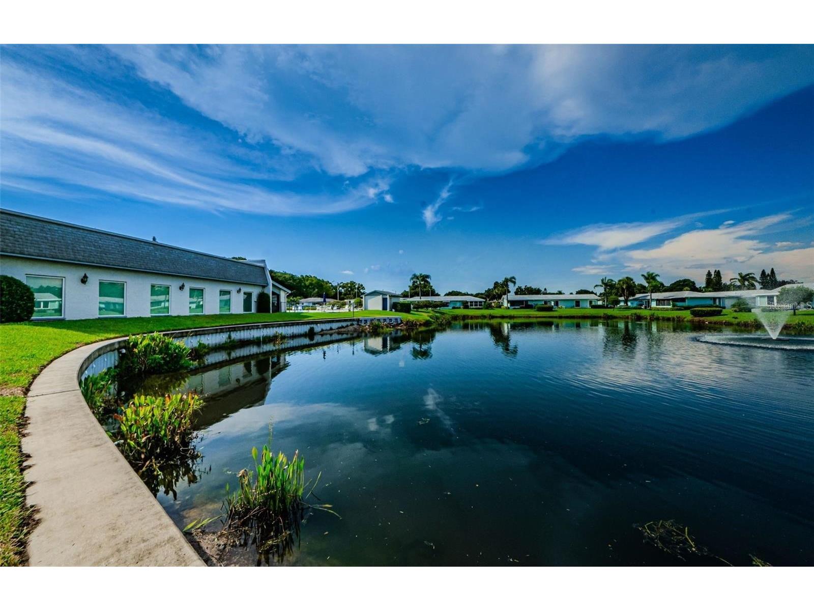 2739 Sherbrooke Lane #B Palm Harbor FL 34684 TB8462674 image40