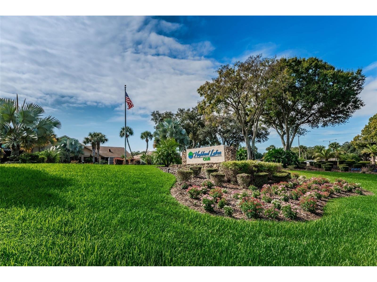 2739 Sherbrooke Lane #B Palm Harbor FL 34684 TB8462674 image42