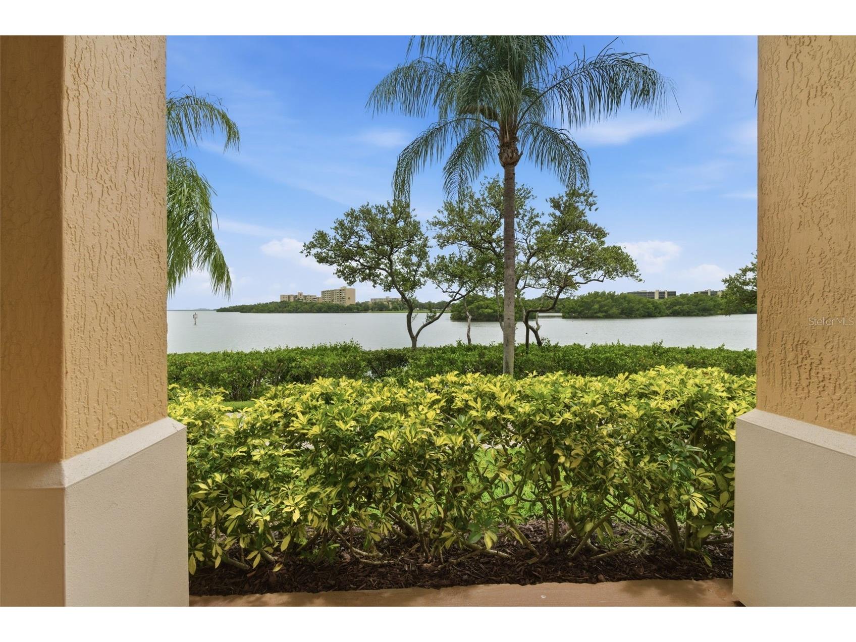 2739 Via Capri #1014 Clearwater FL 33764 - TAMPA BAY TB8514974 image24