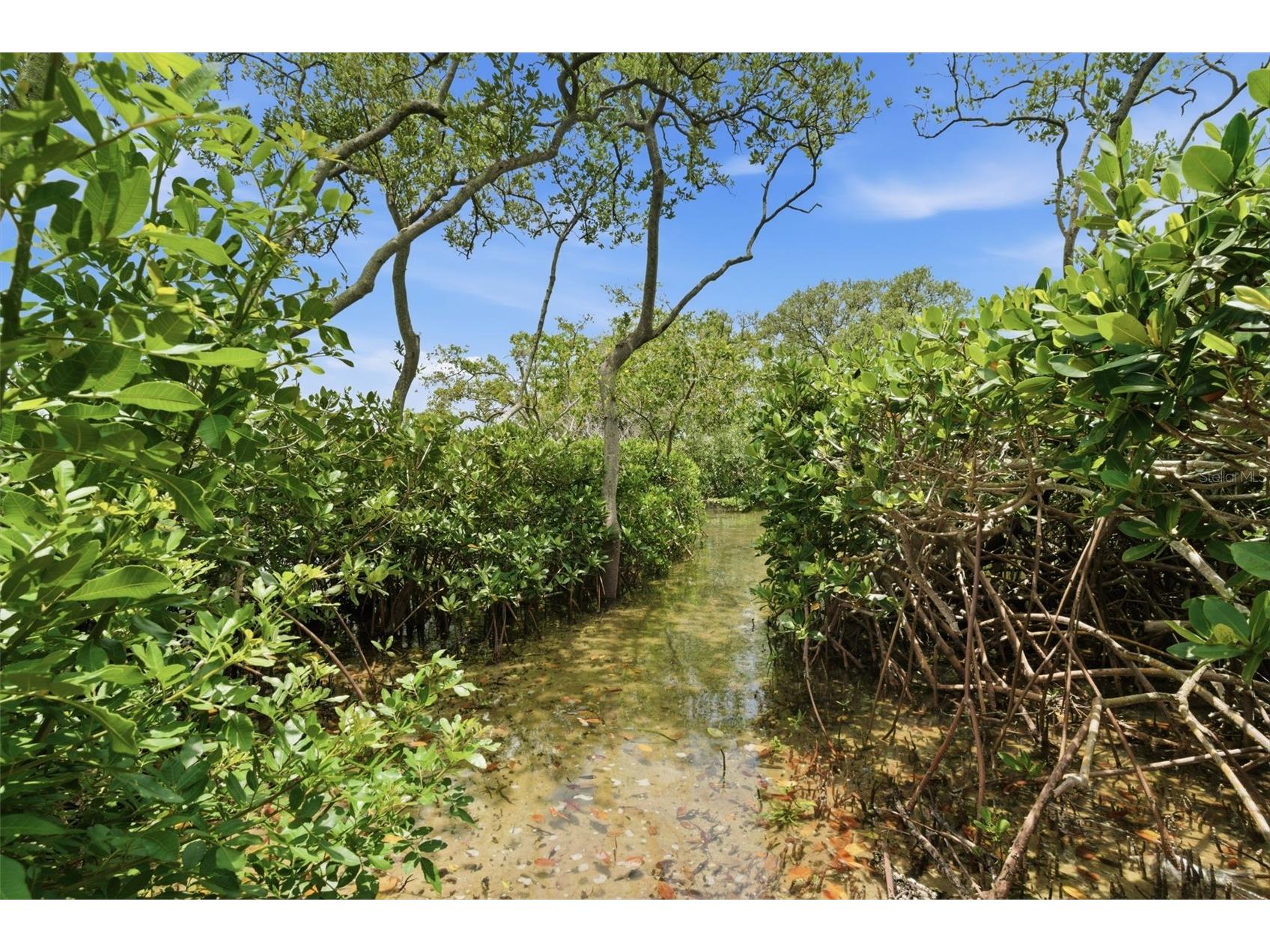 2739 Via Capri #1014 Clearwater FL 33764 - TAMPA BAY TB8514974 image28