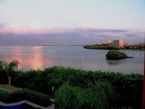 2739 Via Capri #1014 Clearwater FL 33764 - TAMPA BAY TB8514974 image46